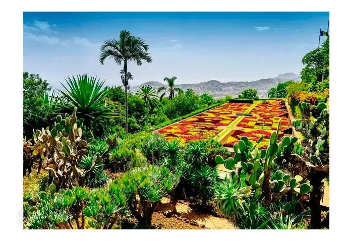 Ravensburger Puzzle 1000 Botanical Garden Madeira 12000853