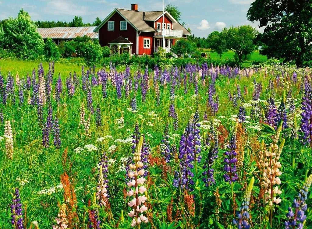 Ravensburger Puzzle 500 Pzs Farm In Sweden 12000844