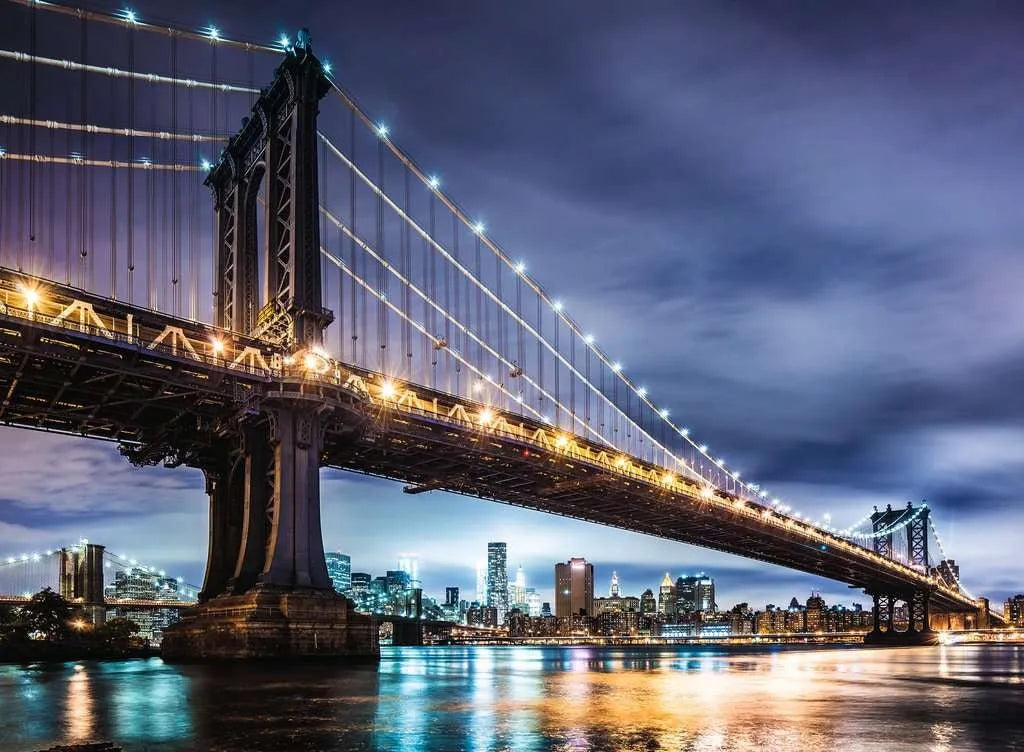 Ravensburger Puzzle 1000 Pz Ny--the City That Never 12000224
