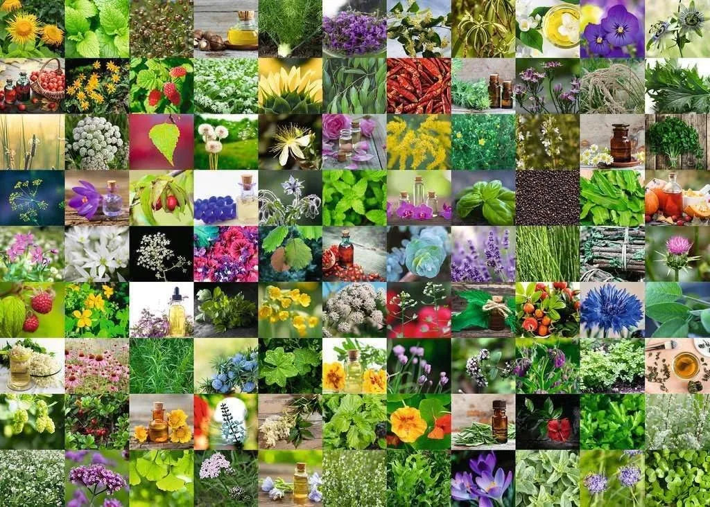 Ravensburger Puzzle 1000 Pzs 99herbs And Spices 12000073