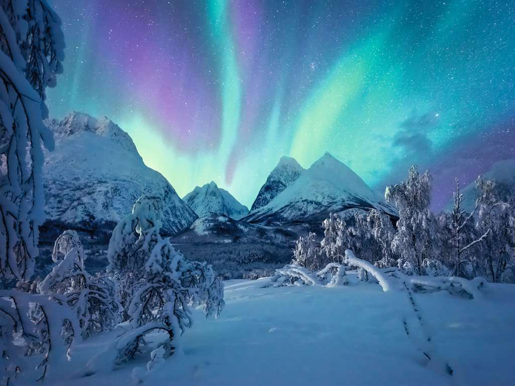 Ravensburger Puzzle 1500 Pzs The Arctic Show 12000802