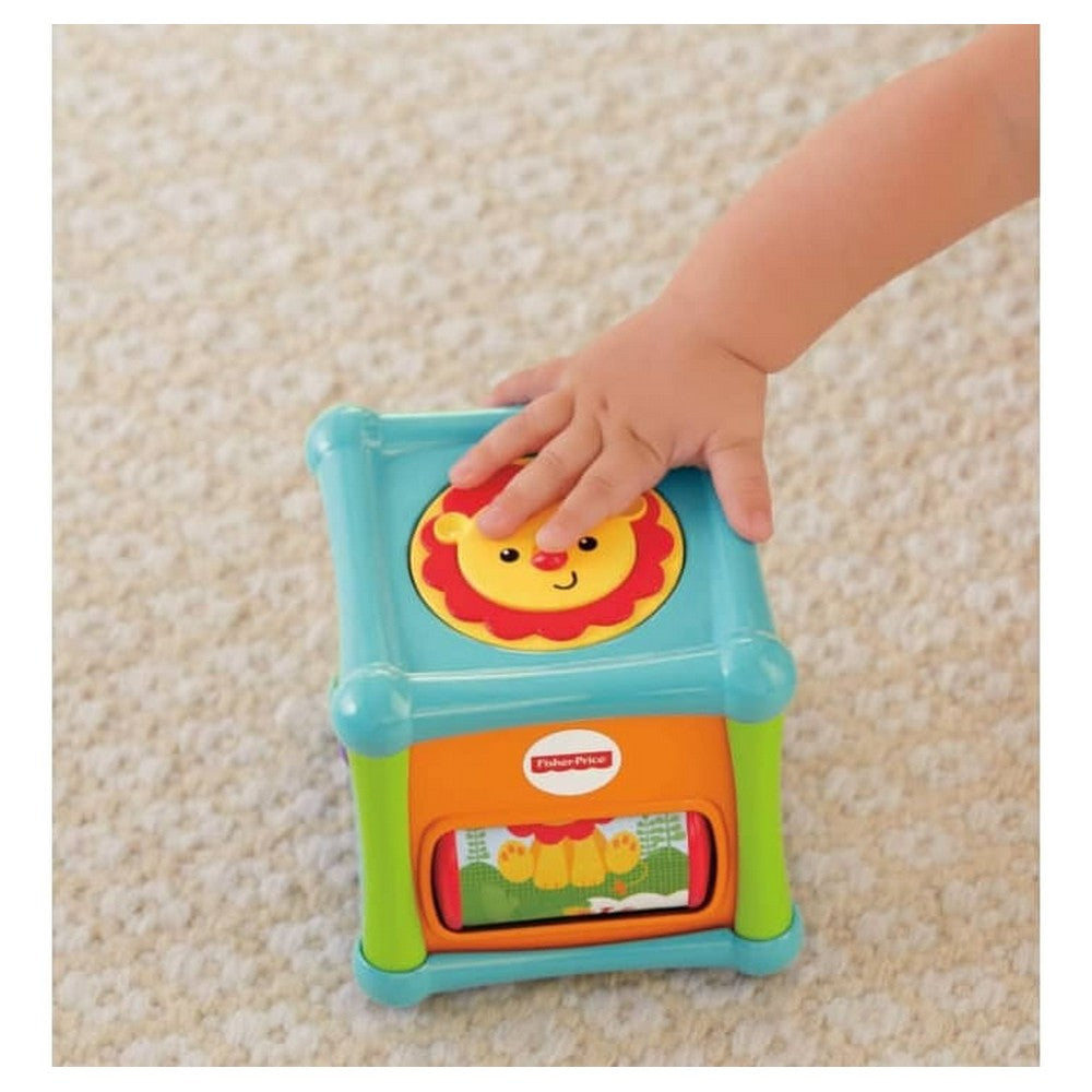 Fisher Price Cubo Animalitos De Actividades Bfh80 Mattel