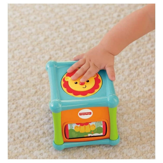 Fisher Price Cubo Animalitos De Actividades Bfh80 Mattel
