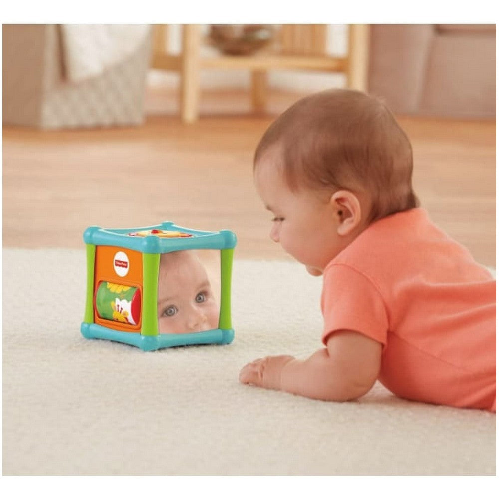 Fisher Price Cubo Animalitos De Actividades Bfh80 Mattel