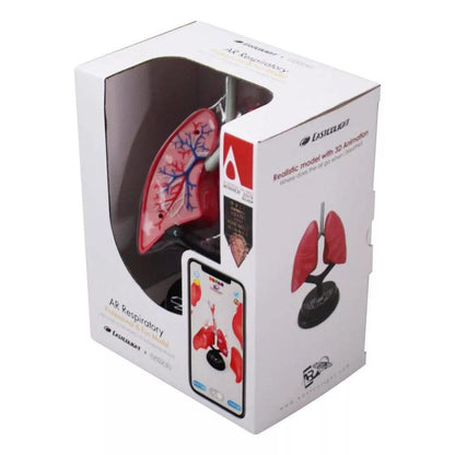Eastcolight Sistema Respiratorio Modelo Profesional 35005