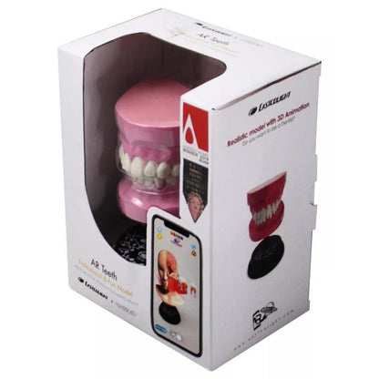 Eastcolight Juego De Dientes Modelo Profesional 35003