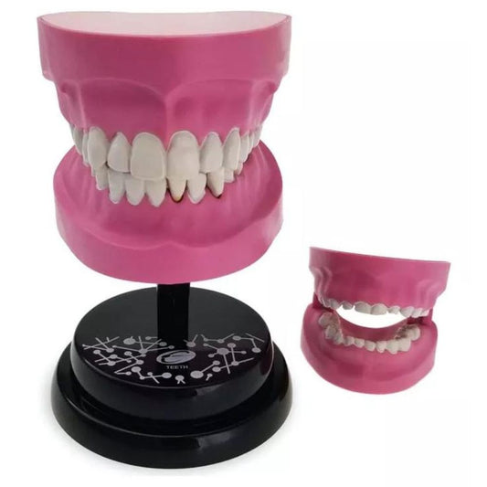 Eastcolight Juego De Dientes Modelo Profesional 35003