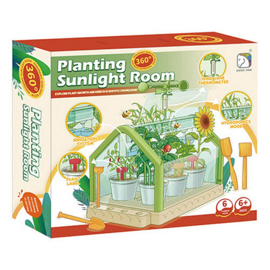 Juego Cuidado De Plantas 2434816 Planting Sunlight Room