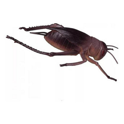 Insect World Grillo 2223158