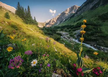 Ravensburger Puzzle 1000 Pzs Magical Valley 12000484