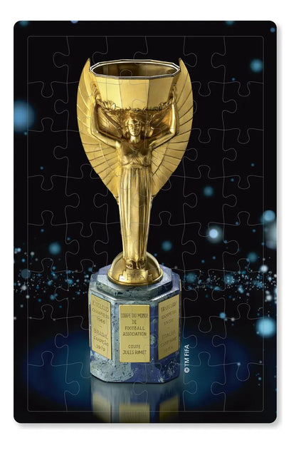 Rompecabezas Puzzle X2 Copa Del Mundo 48 Pzs Fwc-0019-11
