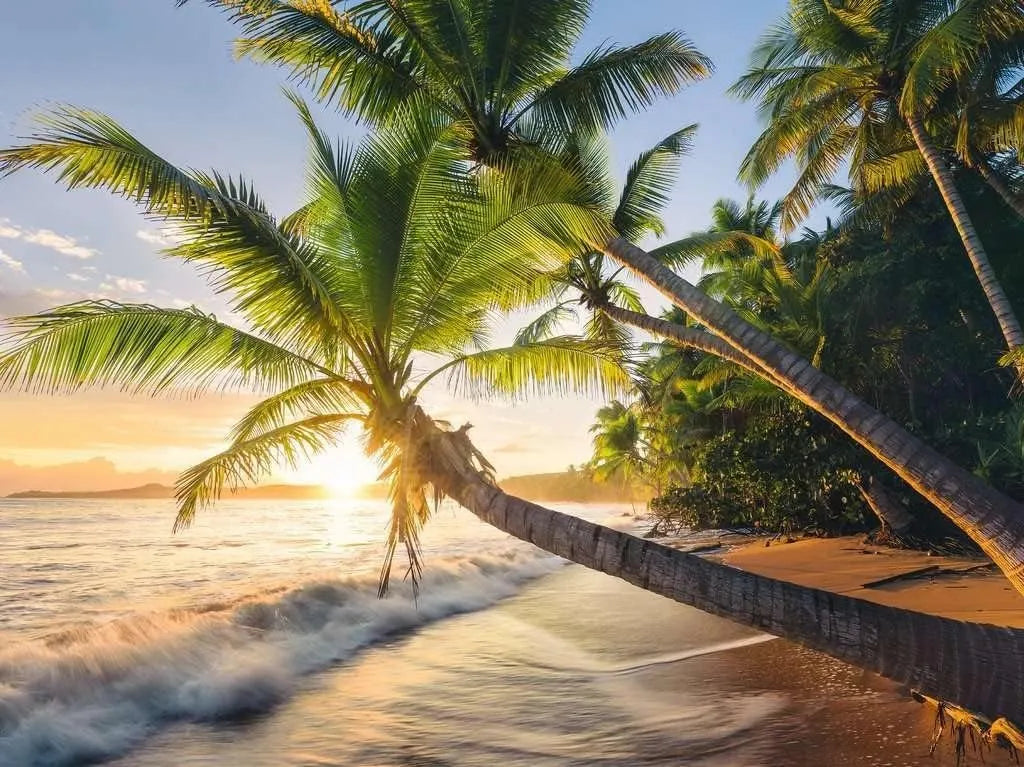 Ravensburger Puzzle 1500 Pzs Beach Hideaway 12000693