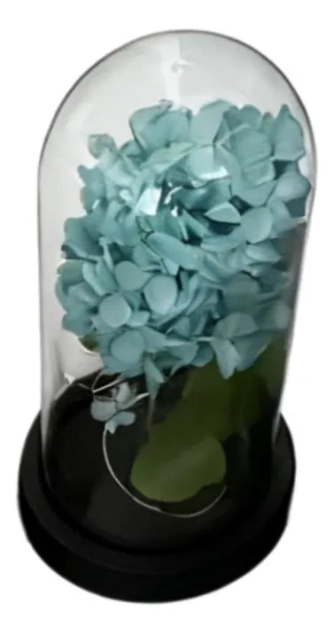 Flor Artificial Cupula Con Luz Surtido 21cm Kl792 Celeste