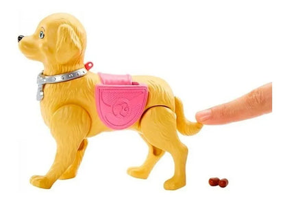 Barbie Muñeca Paseo De Perrito Dwj68