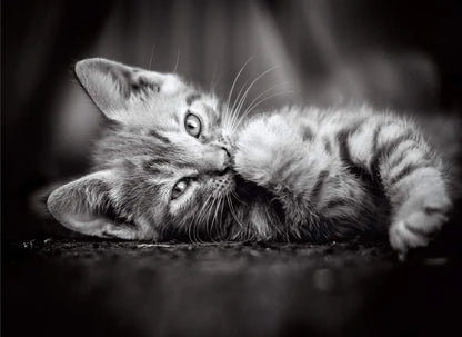 Puzzle Hqc Kitty 1000 Pzas Clementoni 39422