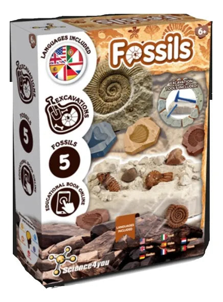 Science4you Juego De Excavación De Fósiles 80004985 Shine