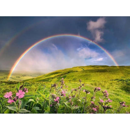 Ravensburger Puzzle 1500 Piezas Rainbowscape 12000800