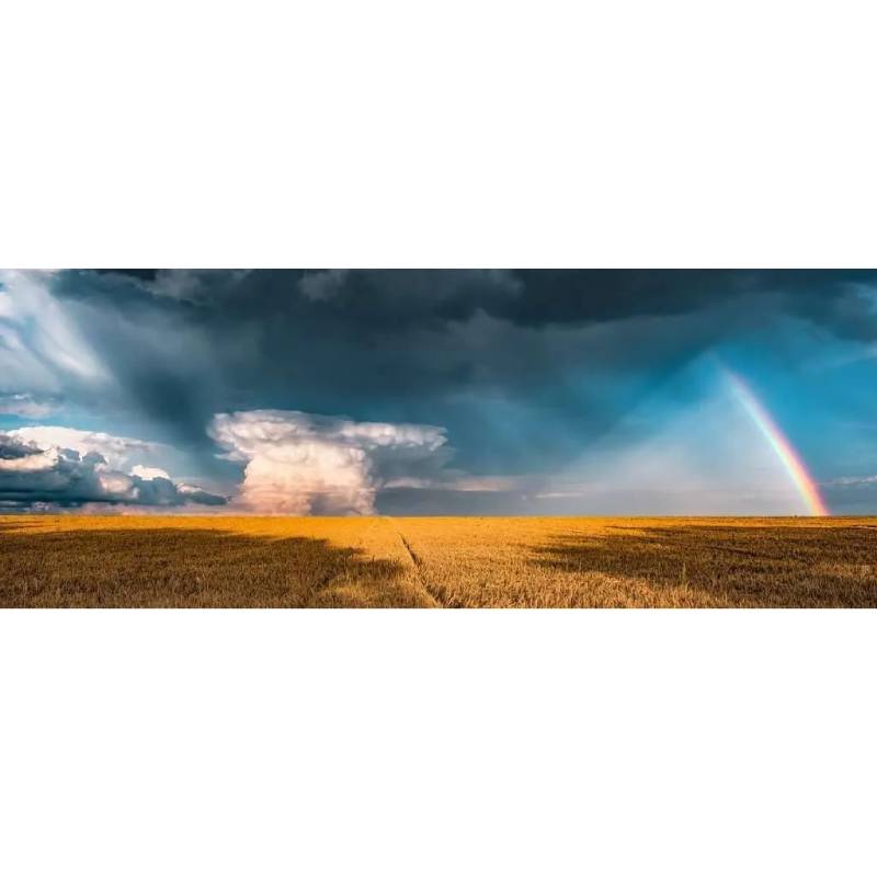 Ravensburger Puzzle 1000 Pzs Panorama Mysterious Rainbow 12000291