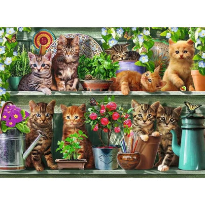 Ravensburger Puzzle 500 Pzs Cats On The Shelf 12000205